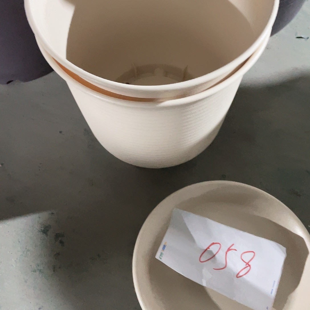 编号是058号的058号的