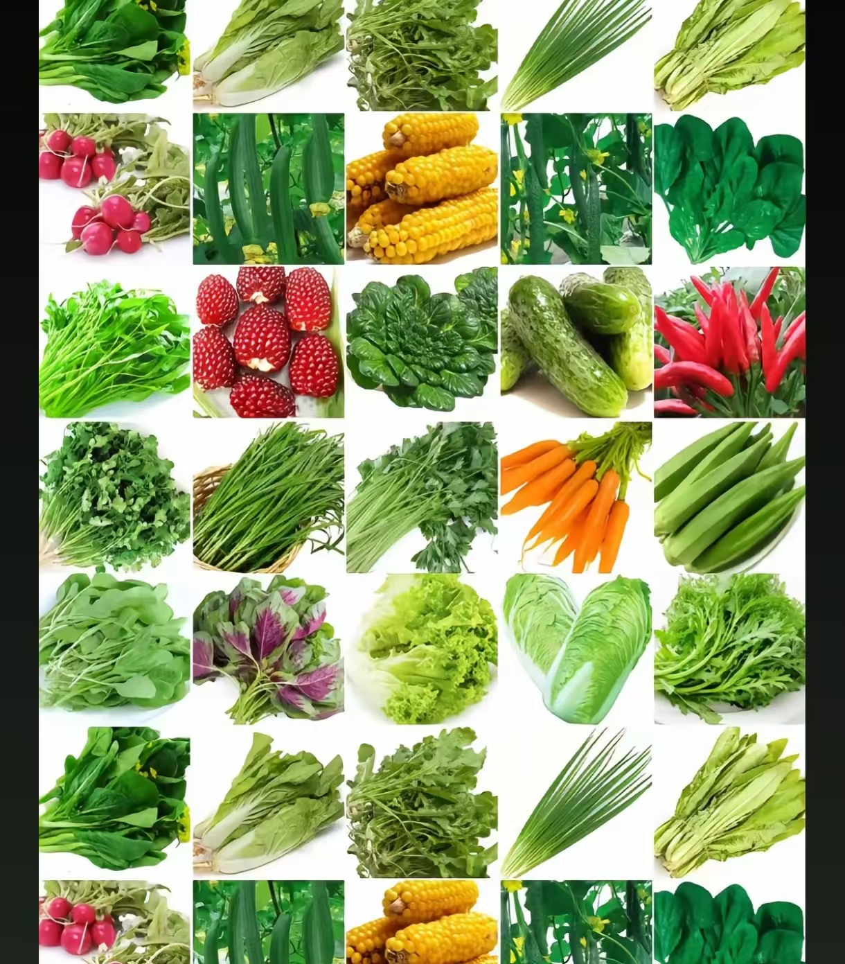 云南现收山货  桃胶~ 桃