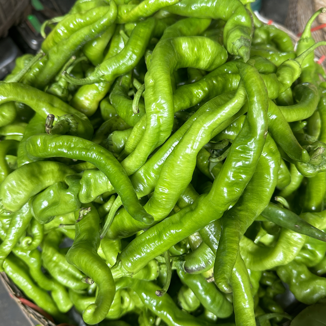 湘西新鲜薄皮辣椒现采现发香辣可口