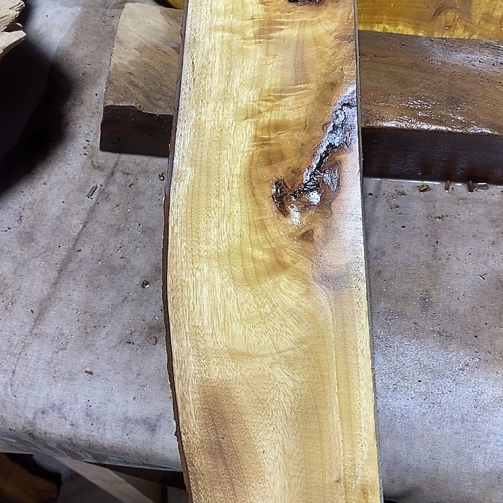 金丝楠木小叶桢楠木