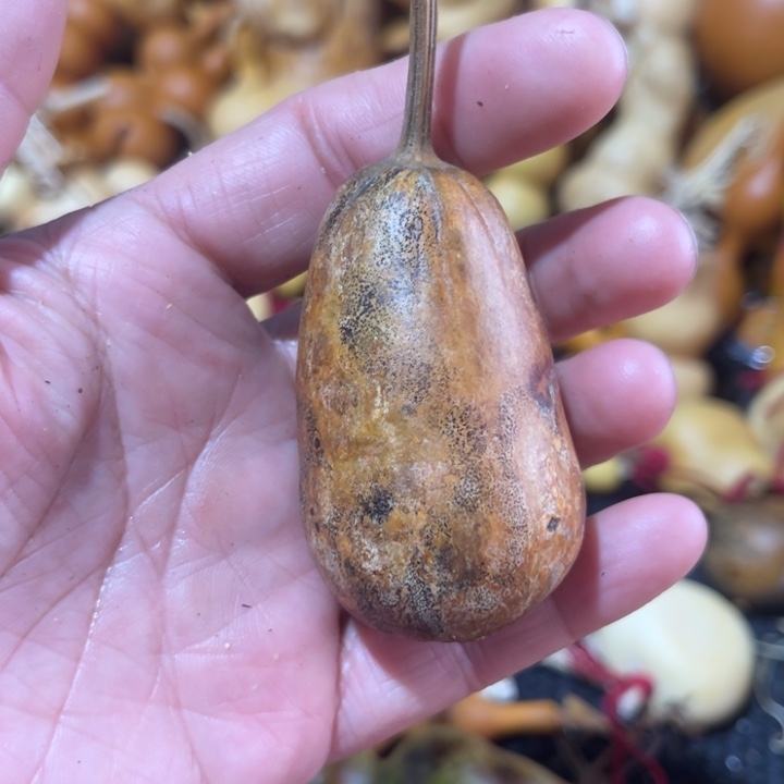 富***艺葫芦哈哈哈哈哈哈