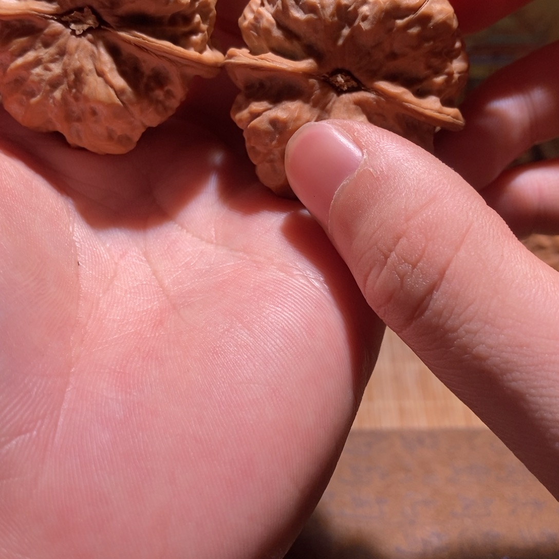 家***下文玩核桃吊坠蛤蟆头D15.