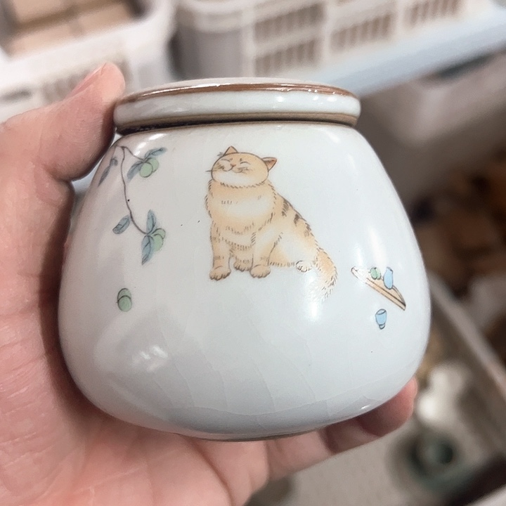 杯直播链接直播链接