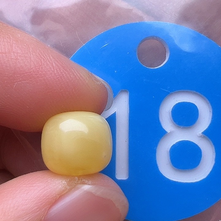 蜜蜡裸石未镶嵌花粉10mm