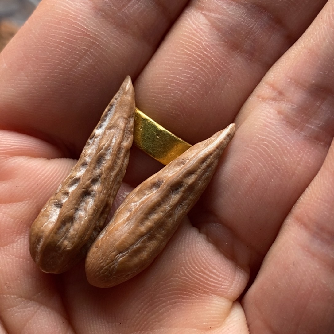 文玩核桃吊坠小涵9