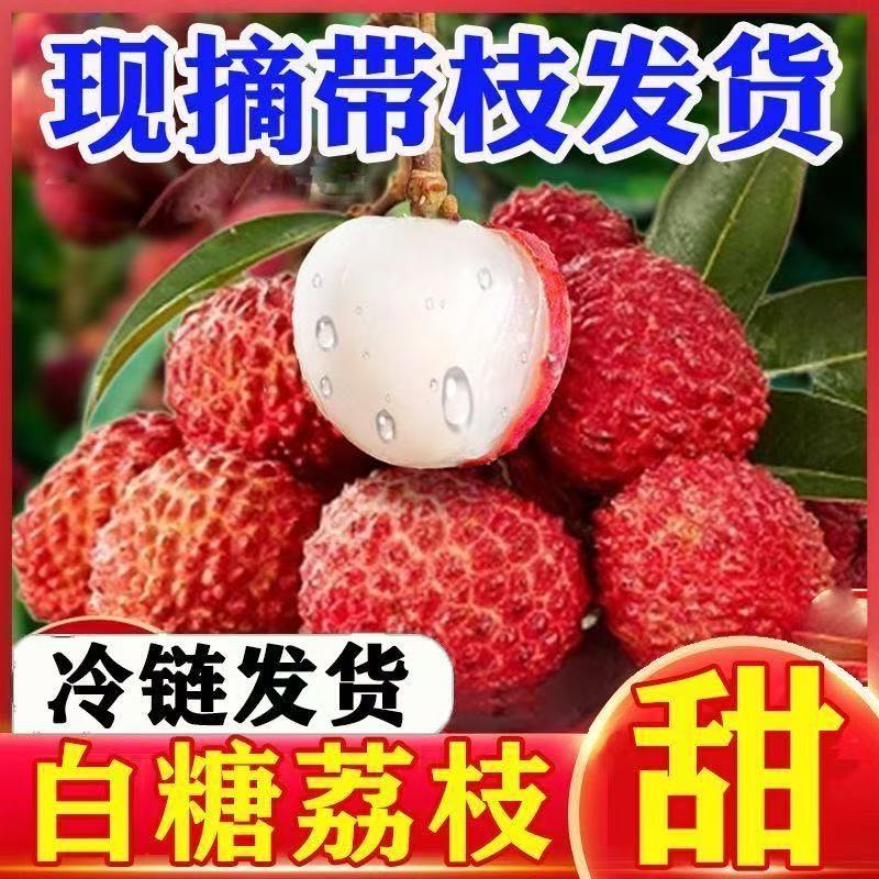 广州现摘现发白糖罂荔枝核小肉厚5斤顺丰京东冷链发货