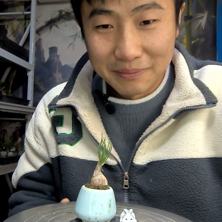 M***乔中青园艺一物一拍花143