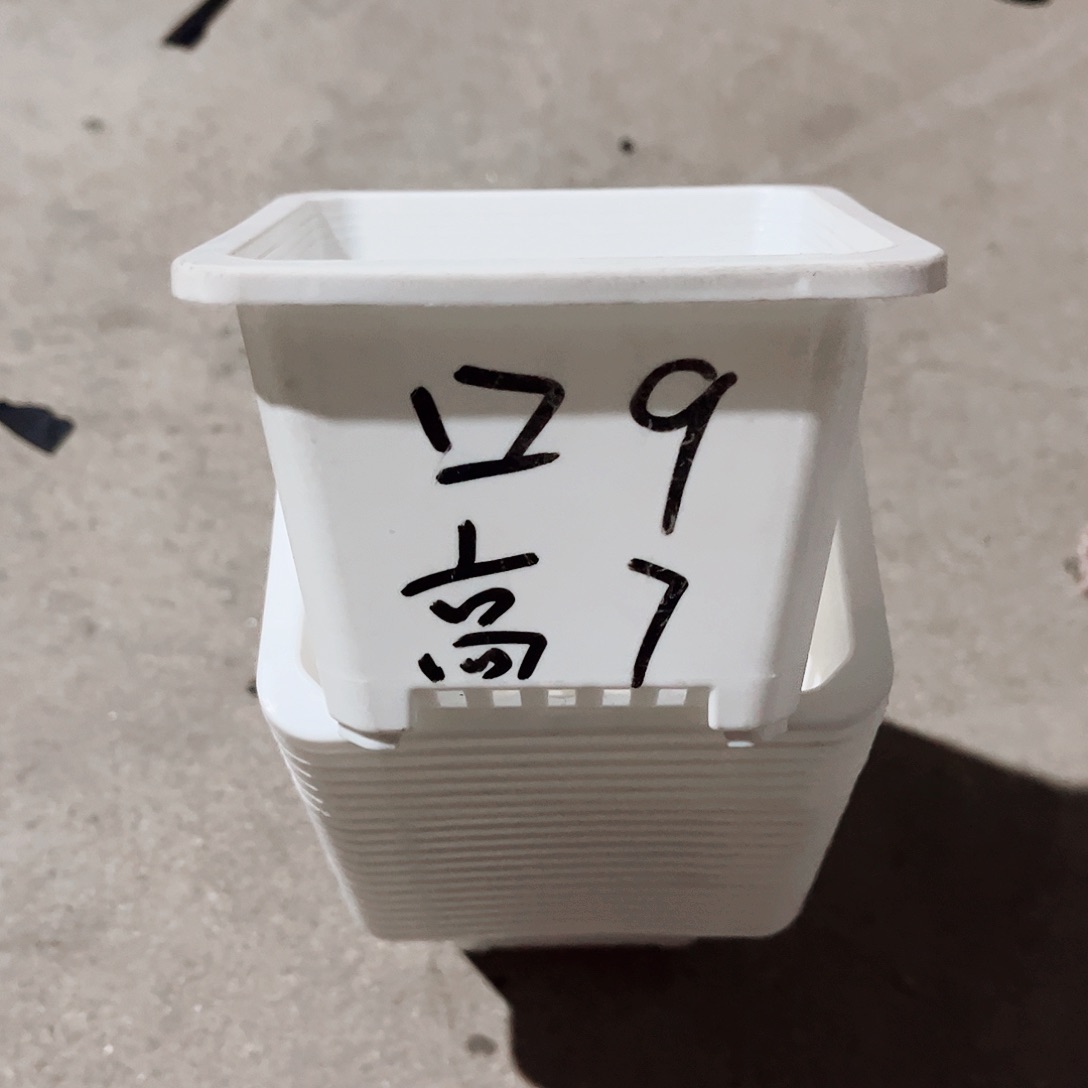 塑料福利款9方白色盆20个无托