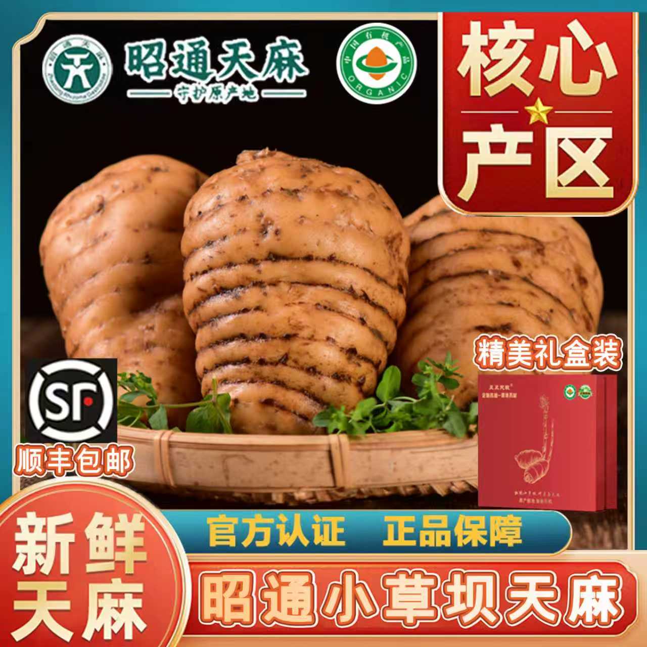 【新鲜天麻】昭通彝良小草坝天麻精美礼盒精品特大果 5斤礼盒装