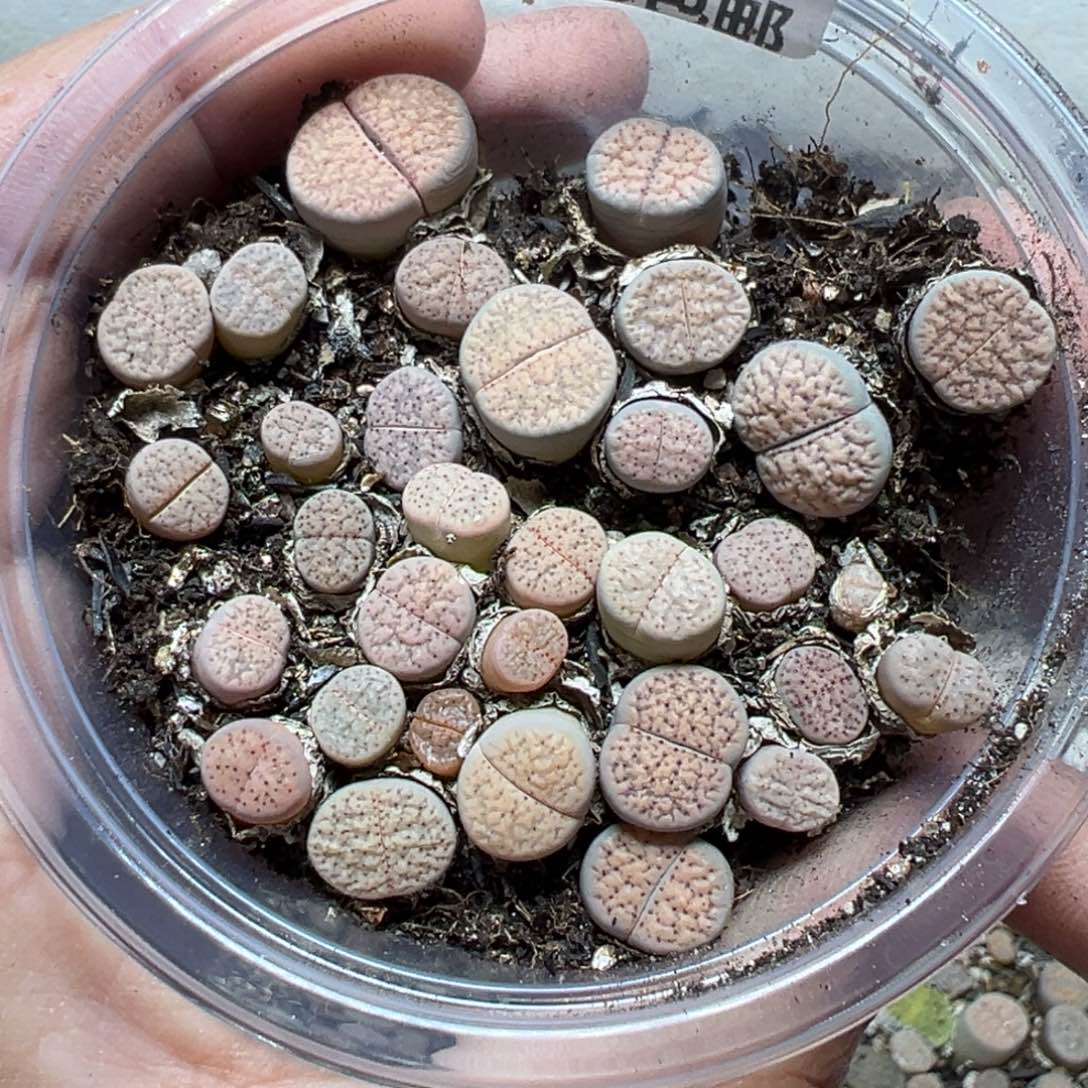 【闪购商品】1023……