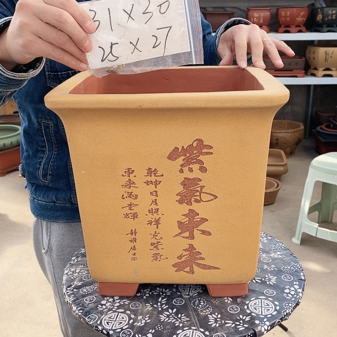 紫砂花盆紫砂艺术