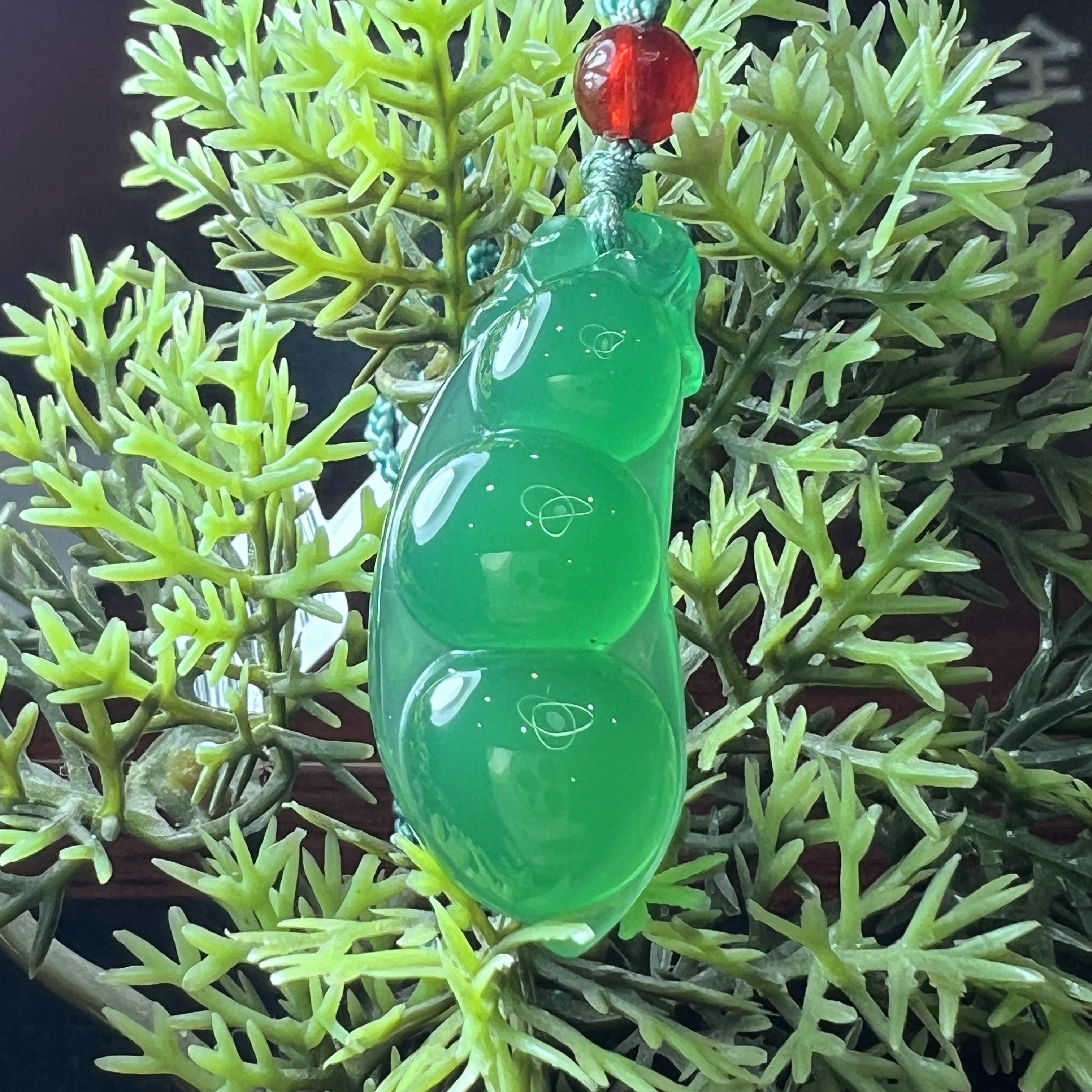 新人福利-玛瑙小绿豆YS97