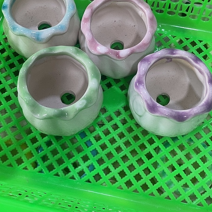 花盆抢购清货马上开始