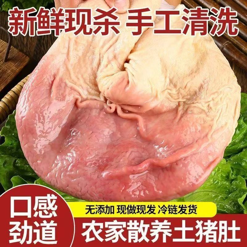 .新鲜散养土猪黑猪大个猪肚 现宰发货 到手3斤