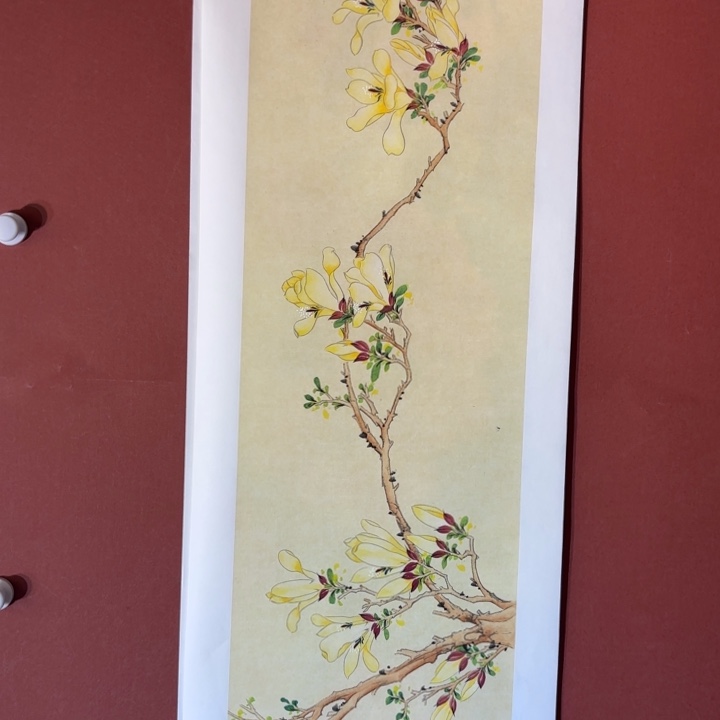 国画听兰老师花鸟