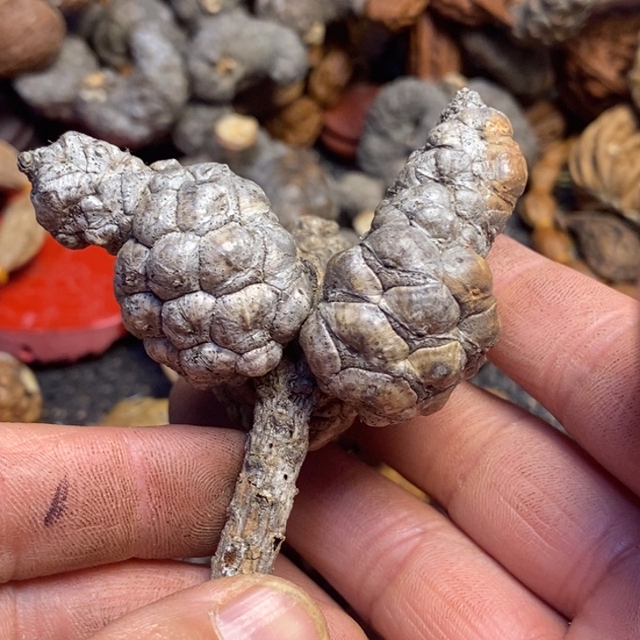 吊坠文玩核桃东北特产83