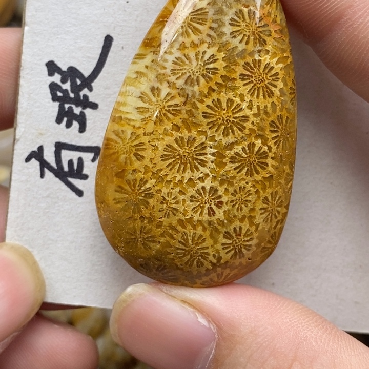 硅化珊瑚（珊瑚玉）未镶嵌颈饰