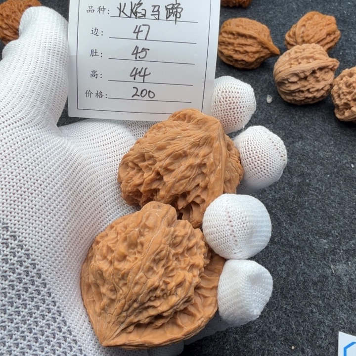 天***情把件文玩核桃火焰马蹄181