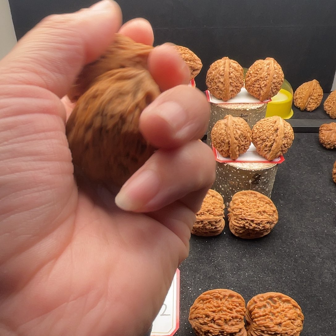文玩核桃把件虎*_南疆核桃文玩把件