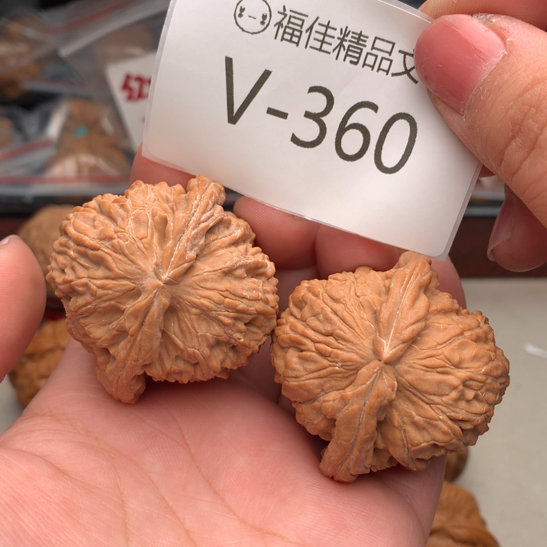 文玩核桃把件44白狮子……….