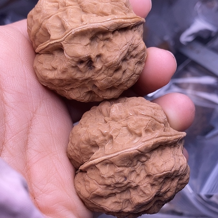 文玩核桃把件   116