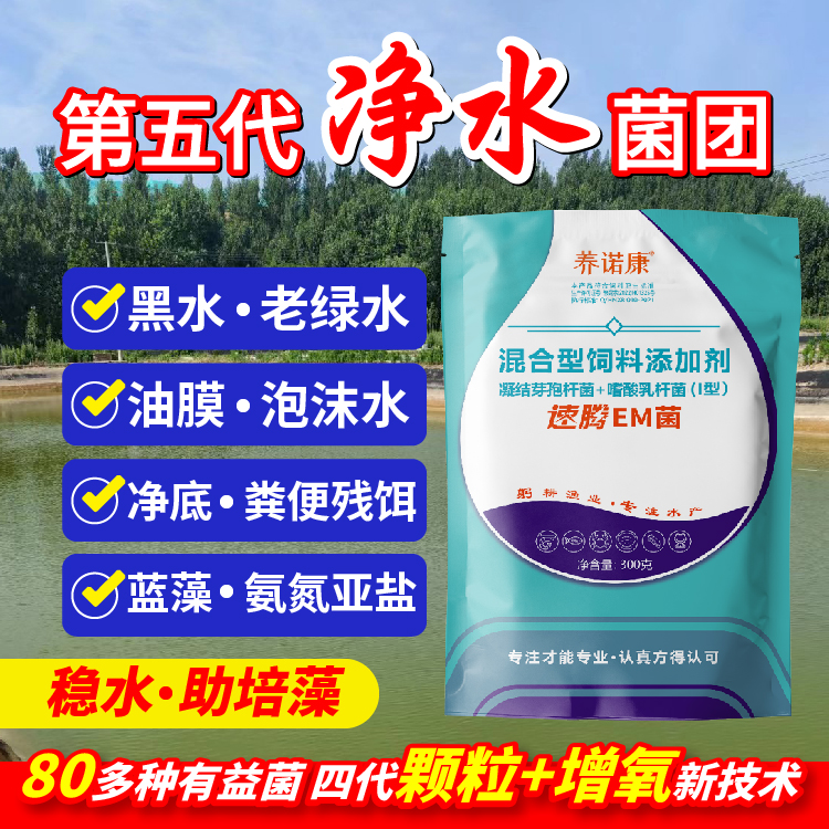 【速腾EM菌】水产增氧型EM芽孢菌种含量高活性强扩散快有益菌厂家商品图