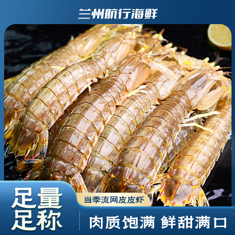 《鲜活》皮皮虾一斤15只左右兰州发货新鲜美味海鲜包鲜不包活