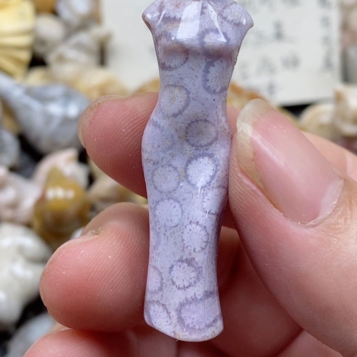 颈饰未镶嵌硅化珊瑚（珊瑚玉）
