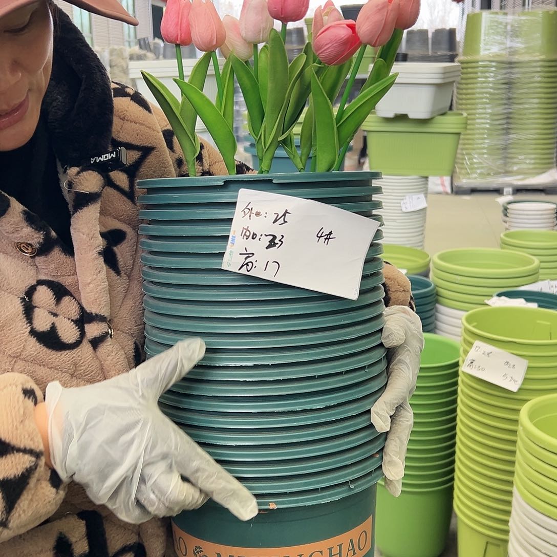 瑕疵矮胖4#墨绿色10个无托