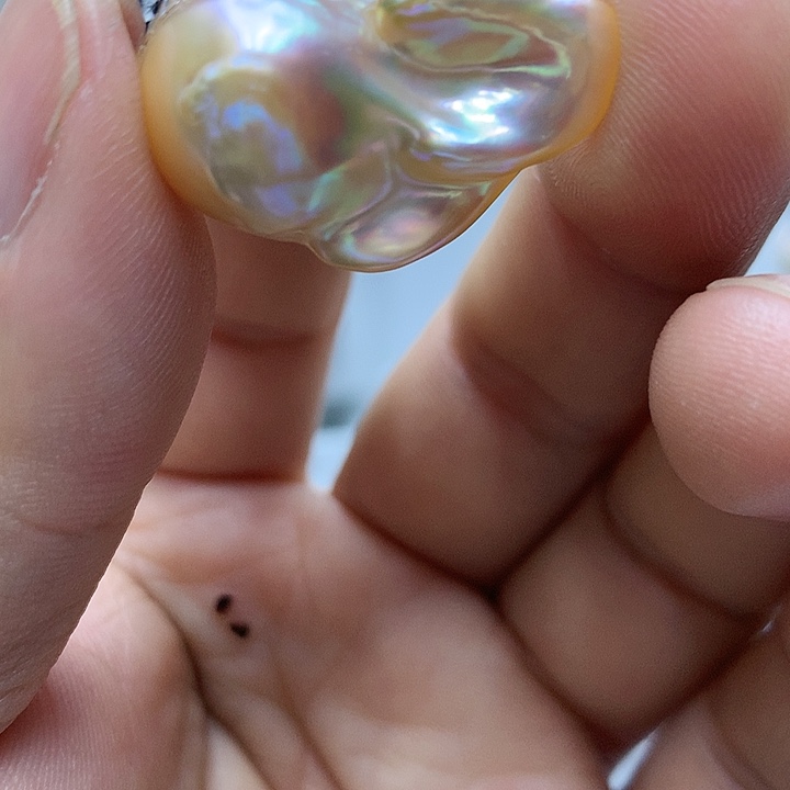 淡水珍珠未镶嵌巴洛克