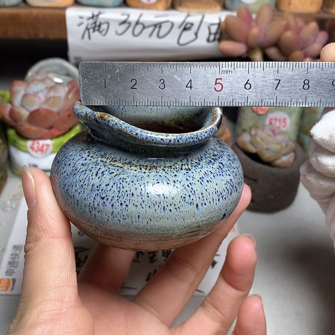 红陶拍5送一个小