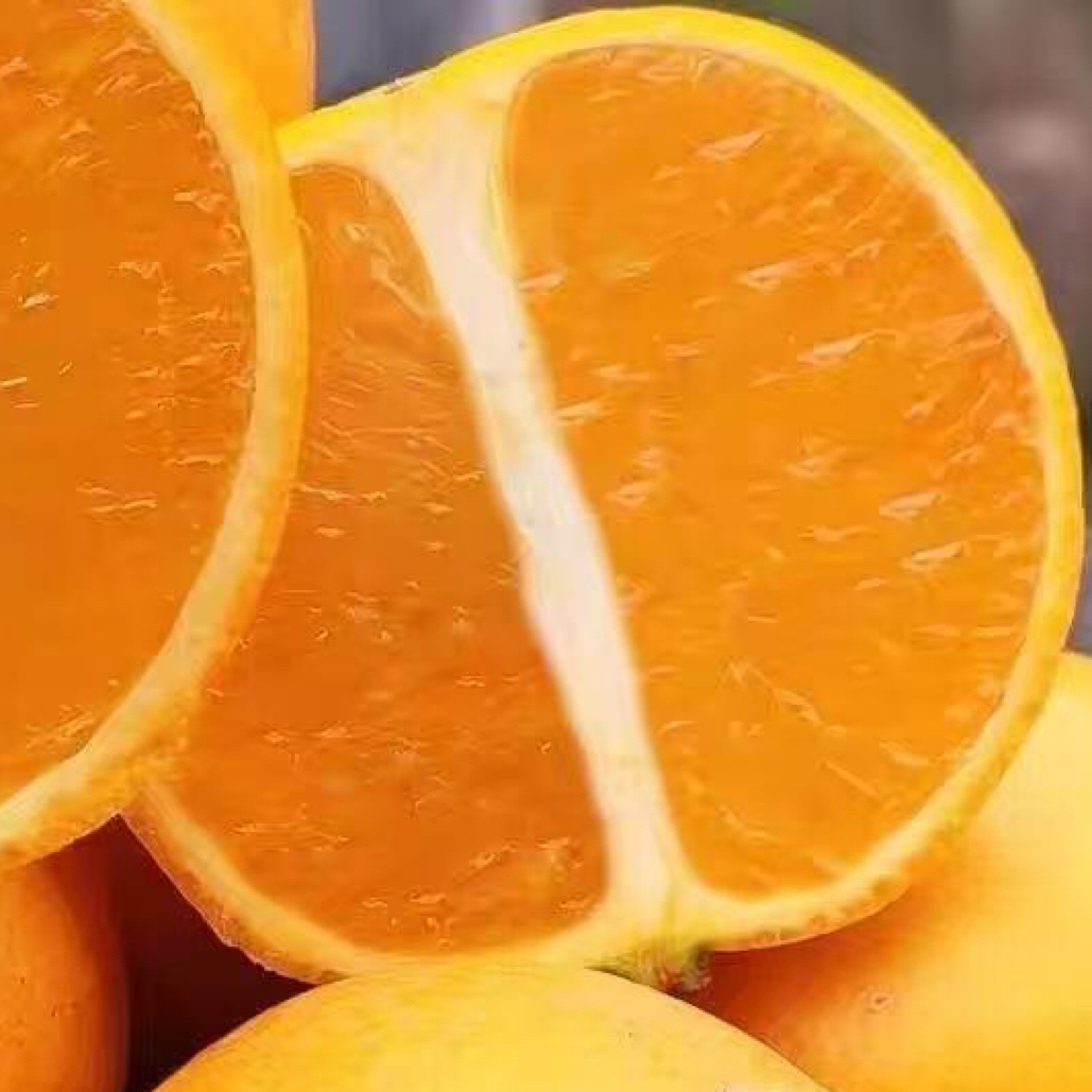 正宗湖南芷江锦蜜果园直发新鲜水果现摘现发爆甜多汁