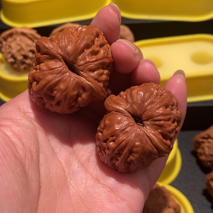 抉*文玩核桃43尺元宝狮子头