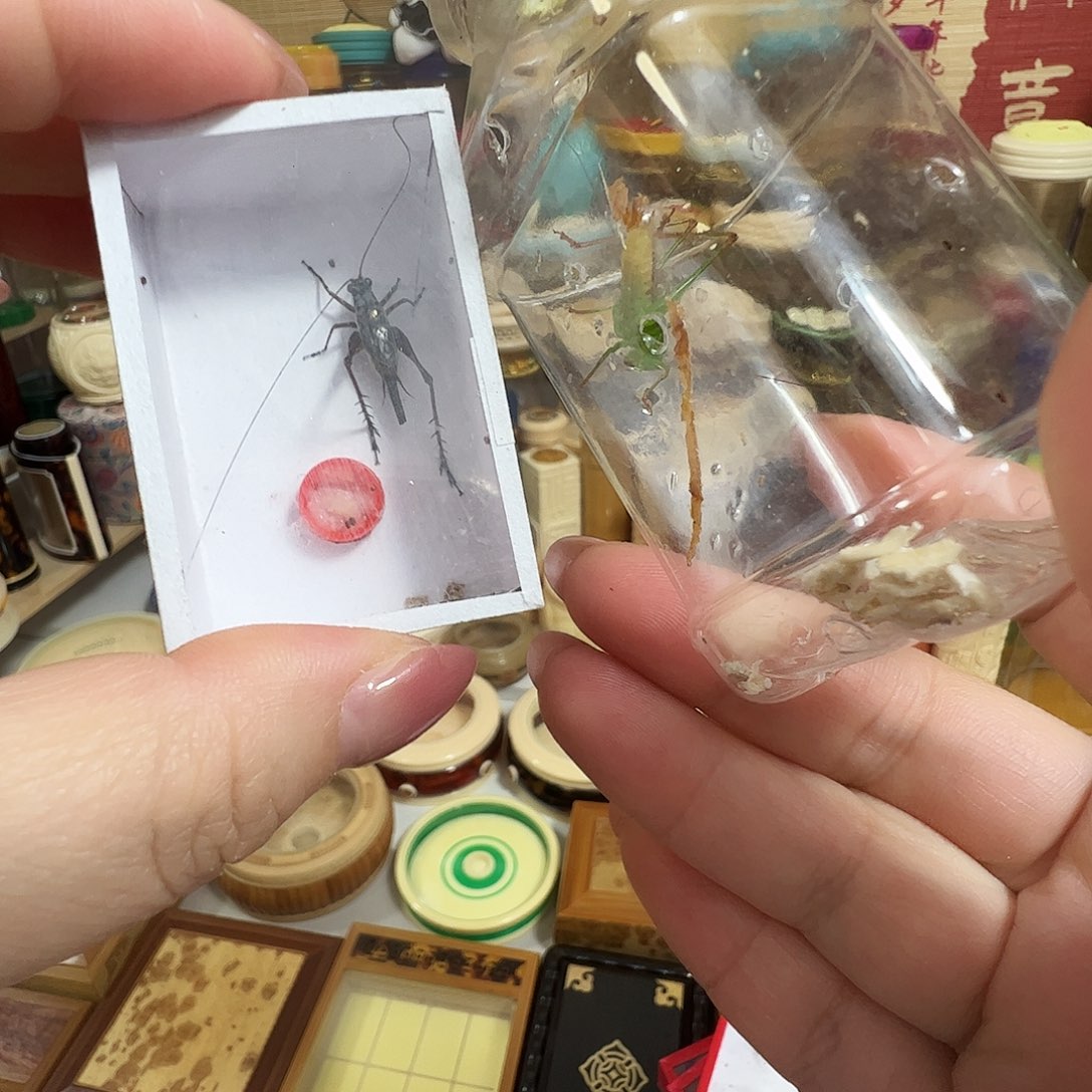 用***7哈哈哈金琥珀➕糖果