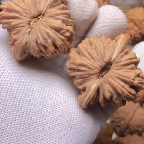 【闪购商品】桃核吊坠四座楼狮子头