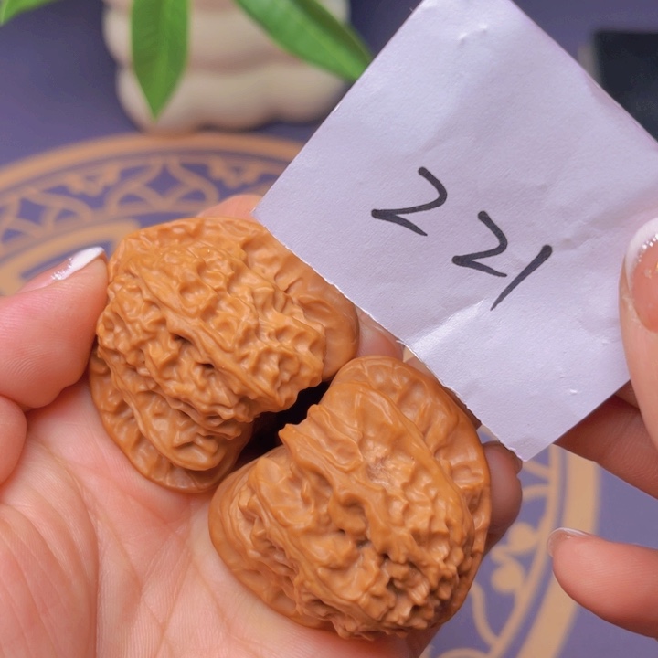 文玩核桃把件三角白21