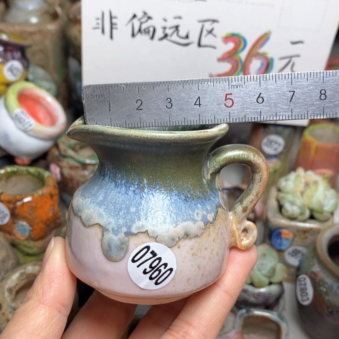 花盆拍5送一个小礼物