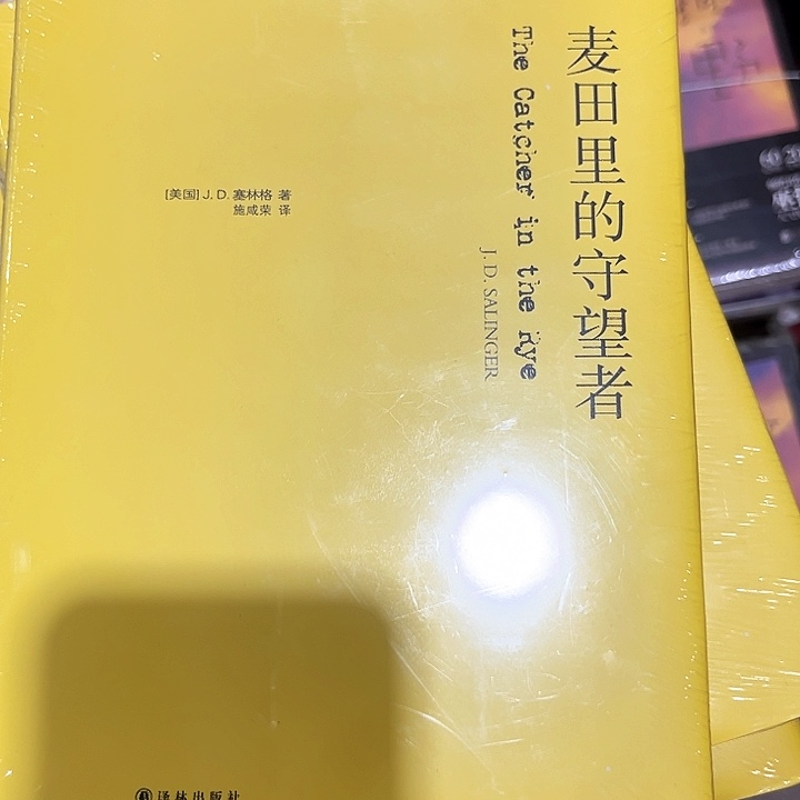 麦田里的守望者新书推荐