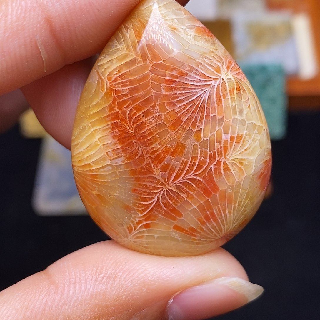 北***风硅化玉合金珊瑚玉