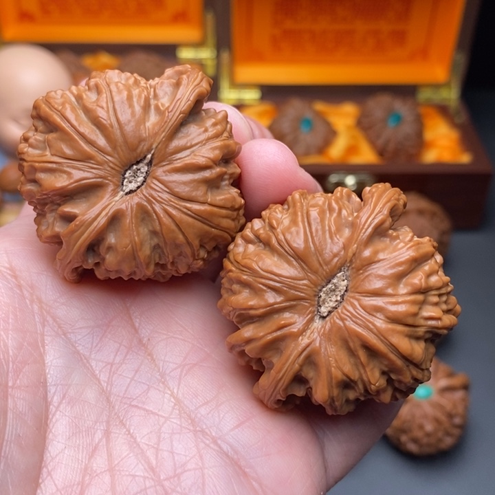 文玩核桃把件白狮子45.5