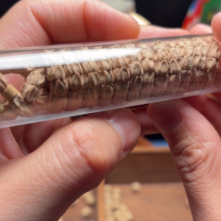 柏木多棱斜切长串108