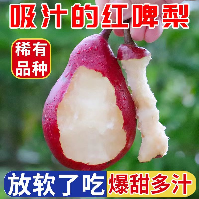 果中邢山西红啤梨新鲜水果红皮啤酒梨子口感软糯香甜外婆梨子整箱