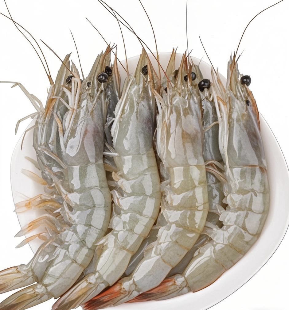 4斤海水大虾13-16厘米/只，12-15只/斤，活虾速冻锁鲜