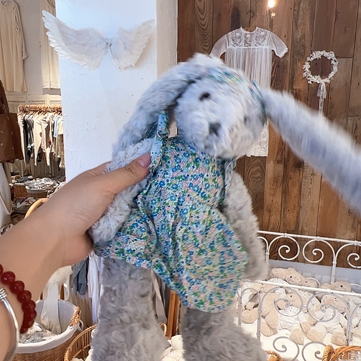 雨妈推荐好看的兔子