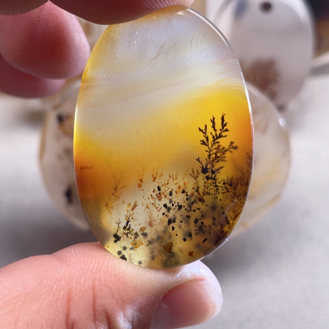 【闪购商品】玛瑙/玉髓颈饰合金