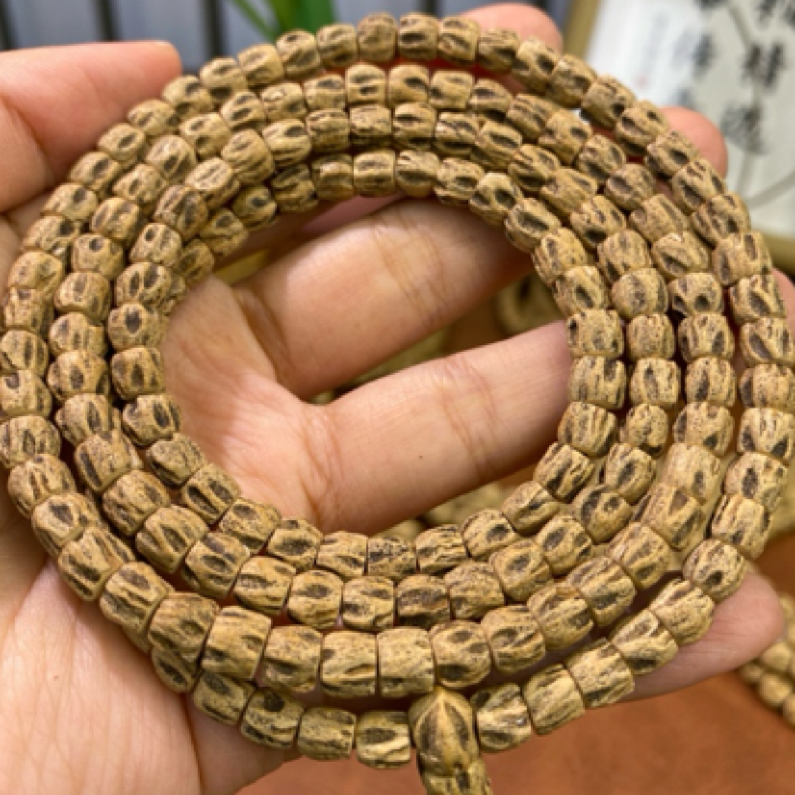 深坑鬼脸直切规整度很高的鬼脸柏香籽