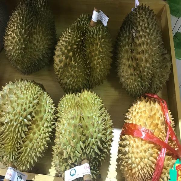 泰国金枕榴莲液氮榴莲 29.8元/斤