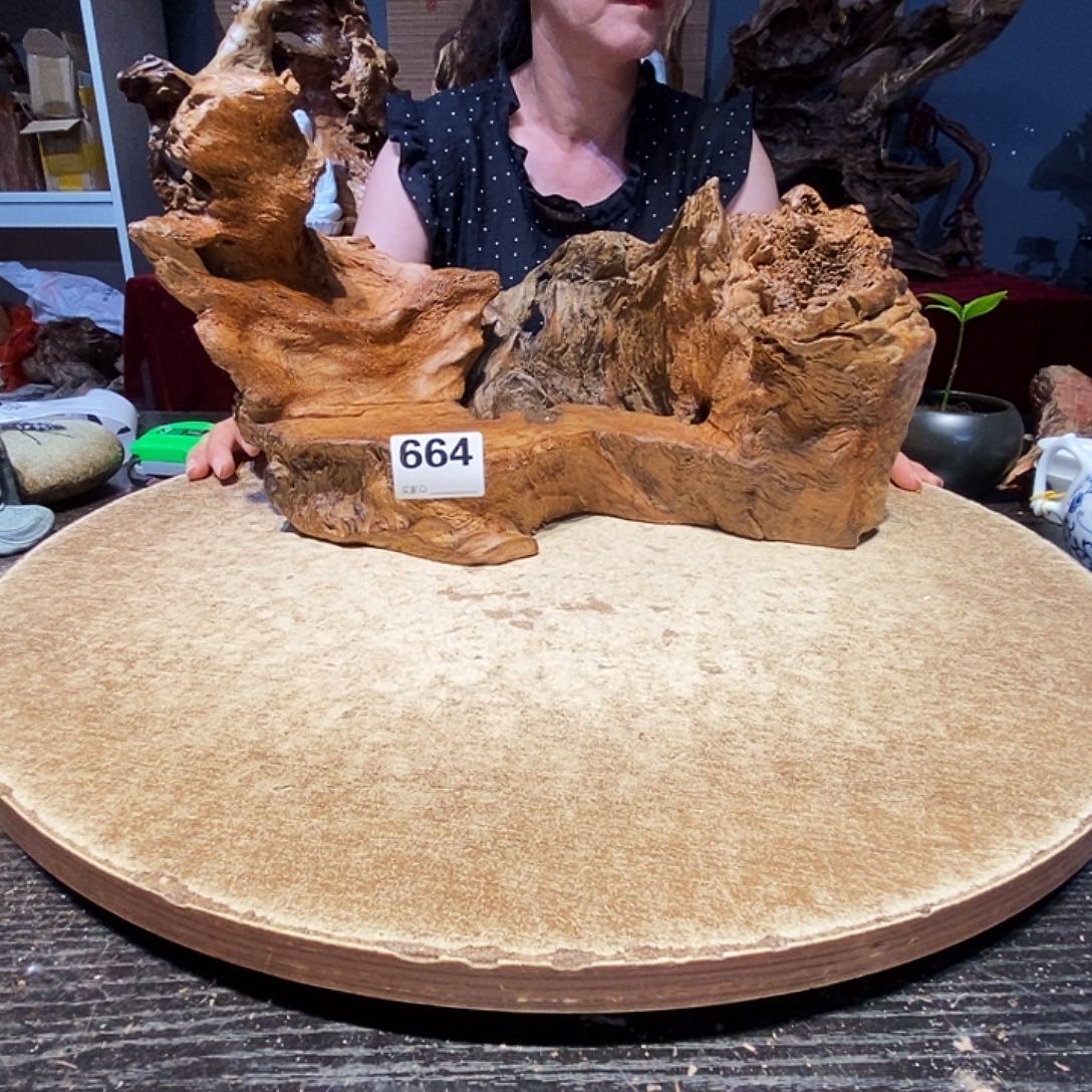 啊***艺664。株木随行根艺