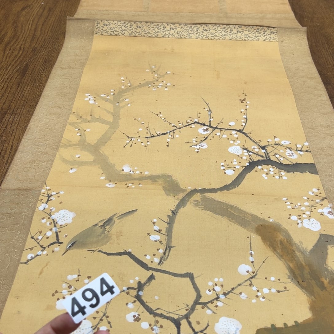 爱*哈哈哈我也想494