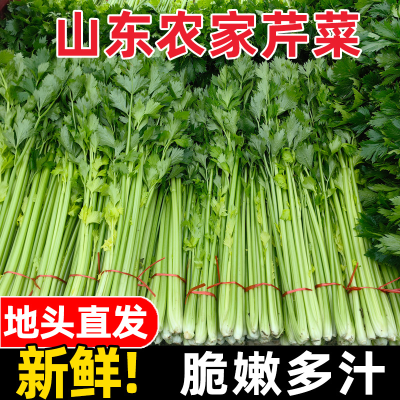 山东现挖芹菜本地带叶芹菜西芹榨汁青菜新鲜蔬菜蔬菜批发小芹菜